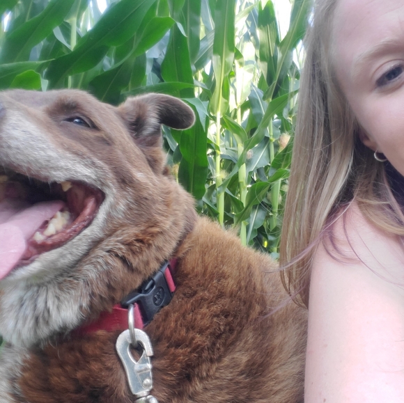 Meet your Posher, Carin - Picture 4 of 8